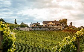 Weinrefugium Brolli